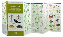 Pocket Naturalist: Pond Life